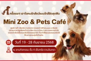 ที่พักรามอินทรา, ห้องพักรามอินทรา, หอพักรามอินทรา, โรงแรมรามอินทรา, ห้องเช่ารามอินทรา, ที่พักรายวันรามอินทรา, ห้องพักรายวันรามอินทรา, ที่พักหลักร้อยรามอินทรา, ที่พักราคาถูกรามอินทรา, ห้องพักใกล้ที่เที่ยวรามอินทรา, ที่พักติดถนนรามอินทรา, ห้องพักพร้อมที่จอดรถรามอินทรา, ที่พักระยะสั้นรามอินทรา, ห้องพักรายเดือนรามอินทรา, ที่พักใกล้สนามบินรามอินทรา, ที่พักชั่วคราวรามอินทรา, ห้องพักปลอดภัยรามอินทรา, ที่พักนอนสบายรามอินทรา, ห้องพักสะอาดรามอินทรา, ที่พักเดินทางสะดวกรามอินทรา