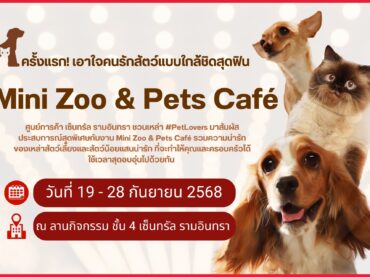 ที่พักรามอินทรา, ห้องพักรามอินทรา, หอพักรามอินทรา, โรงแรมรามอินทรา, ห้องเช่ารามอินทรา, ที่พักรายวันรามอินทรา, ห้องพักรายวันรามอินทรา, ที่พักหลักร้อยรามอินทรา, ที่พักราคาถูกรามอินทรา, ห้องพักใกล้ที่เที่ยวรามอินทรา, ที่พักติดถนนรามอินทรา, ห้องพักพร้อมที่จอดรถรามอินทรา, ที่พักระยะสั้นรามอินทรา, ห้องพักรายเดือนรามอินทรา, ที่พักใกล้สนามบินรามอินทรา, ที่พักชั่วคราวรามอินทรา, ห้องพักปลอดภัยรามอินทรา, ที่พักนอนสบายรามอินทรา, ห้องพักสะอาดรามอินทรา, ที่พักเดินทางสะดวกรามอินทรา